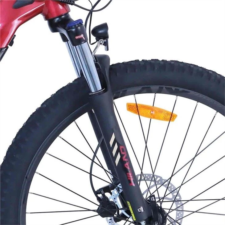 Customized Electric Mountain Bike