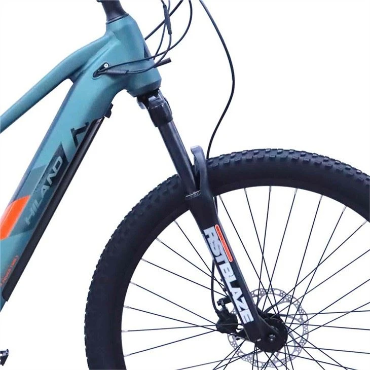 Customized Electric Mountain Bike