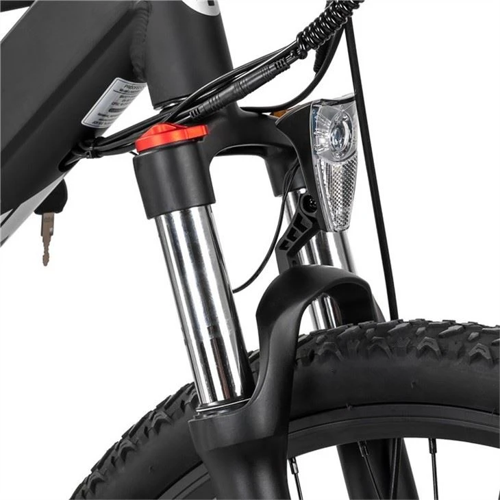 Electric Mountain Bike Pricelist