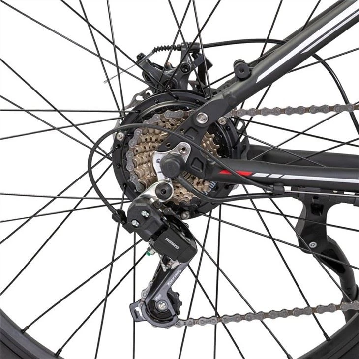China Electric Mountain Bike factory