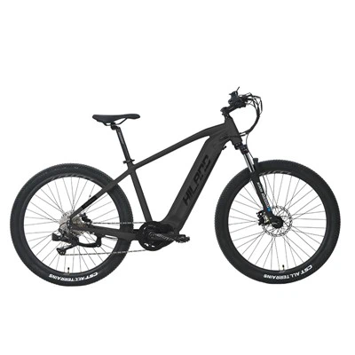 Xe đạp Mtb E 48v 500w Động cơ trung tâm 10 tốc độ
