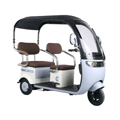 Xe máy điện ba bánh 800W 60V/48V