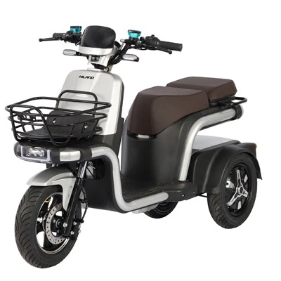 Xe đạp điện hai bánh Moter 800w*2